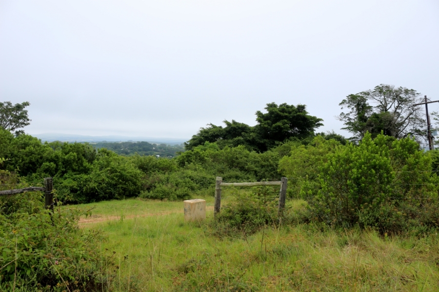 0 Bedroom Property for Sale in Bathurst Eastern Cape